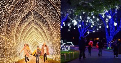9 Things To Do In Houston For The Holiday Season 2021