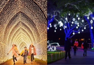 9 Things To Do In Houston For The Holiday Season 2021